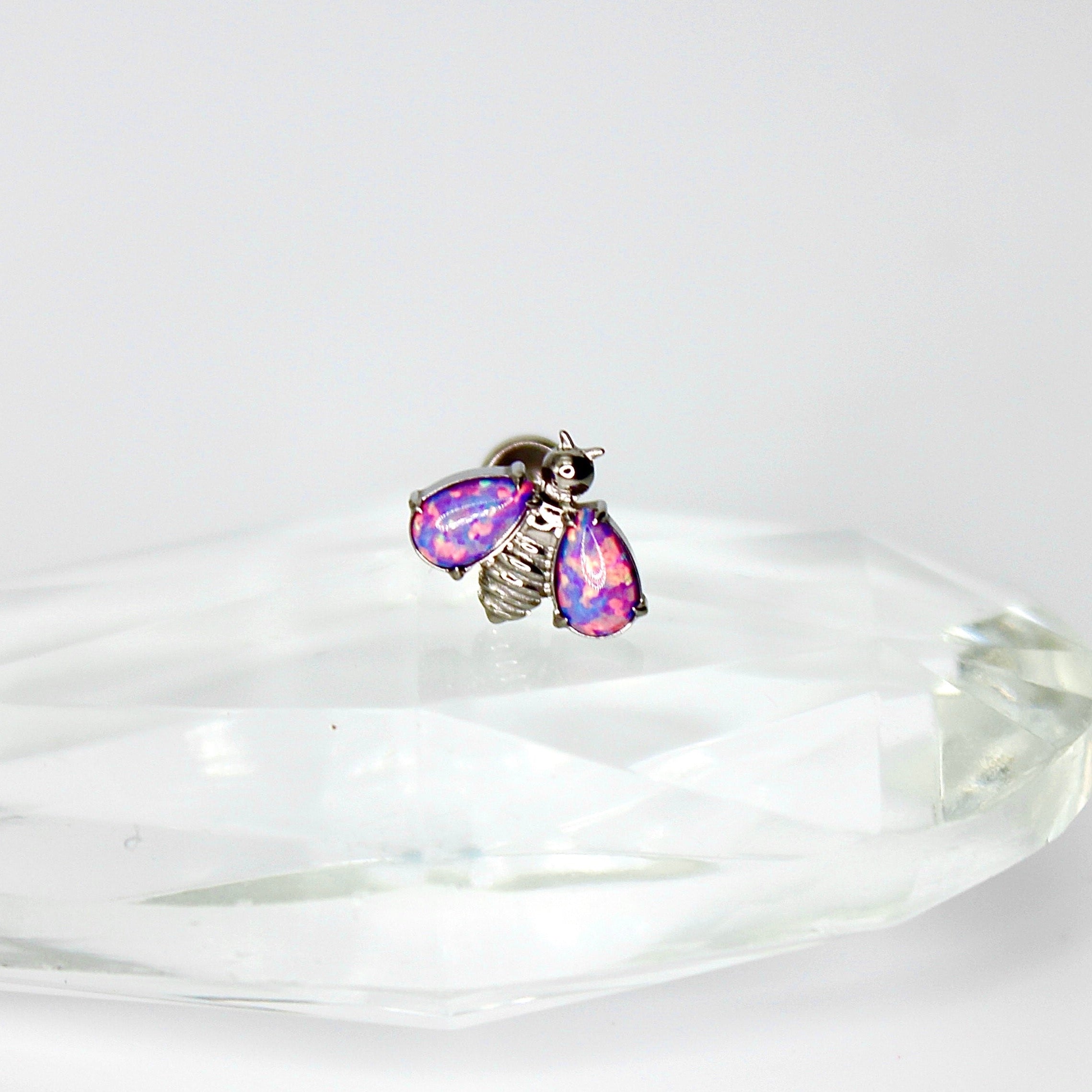EGEO purple version