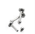 Labret titanio
